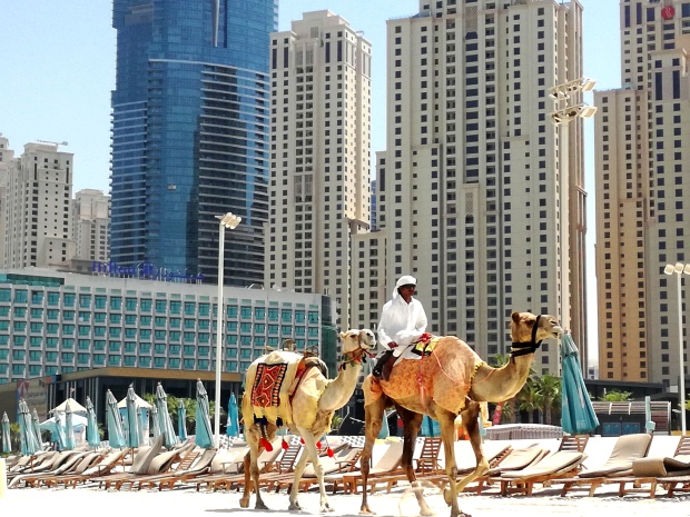 hasznos a dubai közlekedés biztonság kultura